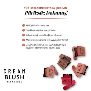 Pastel Creamblush Blendable 3.6g No:46 Harmony