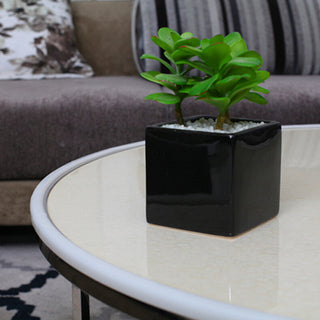 Baby Corner Guard Rubber 2M - Brown | Safe Edges Protection