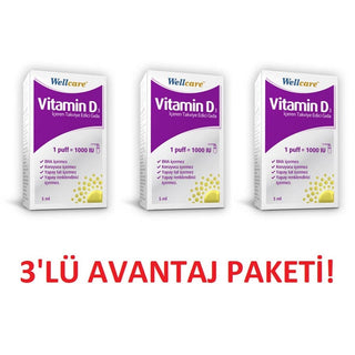 Wellcare Vitamin D3 1000 IU Economical 3 Pack
