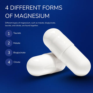 Newday Magnezyum Complex - Nutritional Supplement | 60 Capsules