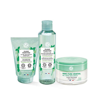 Karma Pure Menthe Skincare Set for Combination/Oily Skin - Daily Cleansing Routine Karma Pure Menthe Skincare Set for Oily Skin skincare set, combination skin care, oily skin routine, daily cleansing routine, pure menthe skincare, skincare for oily skin, acne control, blackhead reduction, oil control, mattifying skincare, salicylic acid skincare, organic mint skincare, travel skincare, gift for her, skincare gift set