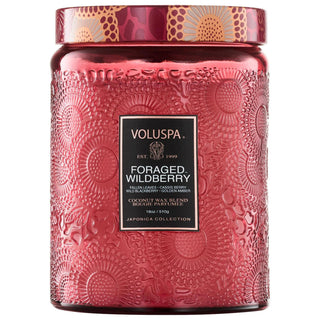 Japonica Foraged Wildberry Large Jar Candle - 100 Hour Burn Time, Fresh Citrus & Fruits Fragrance Japonica Wildberry Large Jar Candle - 100hr Burn Time large jar candle, wildberry scented candle, long burn time candle, fresh citrus and fruits fragrance, home decor candle, Japonica, candle, home fragrance, autumn decor, cozy ambiance, fall scented candle