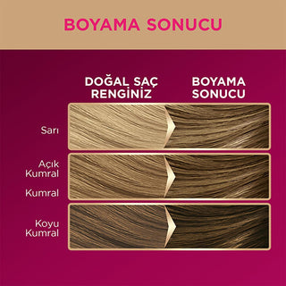 palette deluxe hair color 7-0 brown, rich hair color intensity, long-lasting hair dye palette Palette Deluxe Hair Color - 7-0 Brown | Rich Color Intensity Palette Deluxe Hair Color 7-0 Brown | Long-Lasting Color palette, hair-color, brown-hair-color, deluxe-hair-color, long-lasting-color, intense-color, adults, micro-oils, shiny-hair, ai-generated