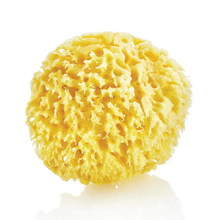 Babyjem Natural Sea Sponge for Gentle Baby Skin Care - Hypoallergenic & Organic Bathing Solution Natural Sea Sponge for Baby - Gentle & Hypoallergenic Natural baby bath sponge, Sea sponge for babies, Organic baby bath products, Gentle baby skin care, Hypoallergenic baby bathing, Natural baby care, Chemical-free baby products, Eco-friendly baby products, Mediterranean sea sponge, Sensitive skin baby products