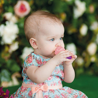 Sevi Bebe Silicone Fruit Feeder - Pink | Baby Teether
