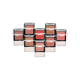 Pastel Profashion Crush Blush 304 8g