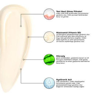 Cream Co. Broad Spectrum Sunscreen SPF 50+ - Moisturizing, Vegan, Non-Greasy, Velvet Finish Cream Co. Sunscreen SPF 50+ - Broad Spectrum, Moisturizing & Vegan Broad Spectrum Sunscreen, Vegan Sunscreen, SPF 50+ Sunscreen, Moisturizing Sunscreen, Non-greasy Sunscreen, Sunscreen, Skincare, Vegan Skincare, Hypoallergenic Sunscreen, Sun Protection, Anti-Aging Sunscreen