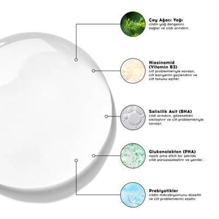 Cream Co. BHA/PHA Niacinamide Toner 200ml - Vegan, Cruelty-Free Acne Control Toner for Oily Skin Cream Co. BHA/PHA Niacinamide Toner - Vegan & Cruelty-Free BHA/PHA Toner, Niacinamide Toner, Vegan Skincare, Cruelty-Free Toner, Acne Control Toner, Oily Skin Solutions, Natural Skincare, Sensitive Skin Friendly, Tea Tree Oil Benefits, Prebiotics for Skin, Skincare Routine Essentials, Vegan Beauty Products, Cruelty-Free Beauty, Skincare for Acne, Balanced Skin Toner