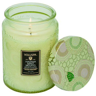 Voluspa Havana Mint Mojito Scented Candle: Refreshing Coconut Wax Candle | Long Burning Aromatherapy Home Fragrance & Gi