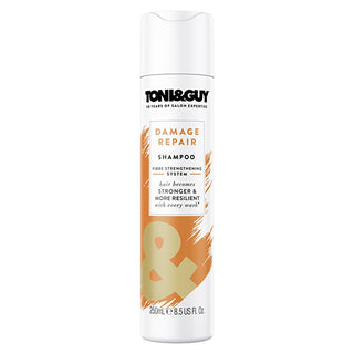 Toni&Guy Shampoo for Damaged Hair - Gentle, Non-Greasy Cleansing & Volume Boost - 250ml Toni&Guy Shampoo for Damaged Hair - Gentle & Volumizing shampoo for damaged hair, Toni&Guy shampoo, fine hair care, hair volume enhancer, gentle hair cleanser, damaged hair solution, hair care products, non-greasy shampoo, volume boosting shampoo, healthy hair products