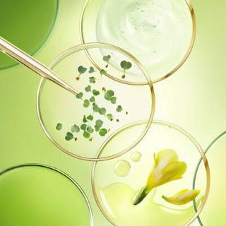 Nuxe Nuxuriance Ultra Anti-Aging Cream 50ml - Luxurious Moisturizing Cream for Aging Skin Nuxe Nuxuriance Ultra Anti-Aging Cream 50ml anti-aging cream, Nuxe Nuxuriance Ultra, luxury skincare, moisturizing cream, anti-wrinkle skincare, skincare, anti-aging skincare, premium skincare, aging skin, fine lines, wrinkles, hydration, nourishment, skin elasticity, youthful complexion