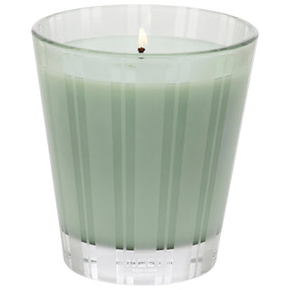 Diptyque Wild Mint & Eucalyptus Scented Candle - Calming, Refreshing Ambiance for Wellness Sanctuary Diptyque Wild Mint & Eucalyptus Candle - Calming Ambiance scented candle, wild mint candle, eucalyptus candle, earthy and woody fragrance, relaxation candle, wellness sanctuary, calming ambiance, stress relief, Diptyque