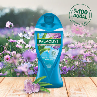 Palmolive Aroma Sensations Natural Shower Gel with Dead Sea Salt & Aloe Vera ...