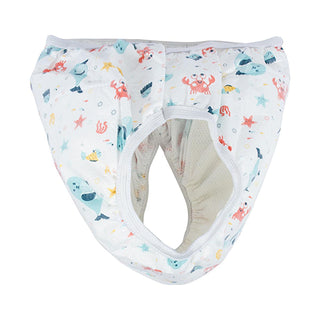 Sevi Bebe Breathable Potty Training Pants for Toddlers - Eco-Friendly, Reusable Training Pants for Boys and Girls (10-15 kg) Sevi Bebe Eco-Friendly Potty Training Pants for Toddlers potty training pants, training pants for toddlers, breathable potty training pants, eco-friendly potty training, reusable potty training pants, Sevi Bebe, potty training, toddler care, eco-friendly baby products, non-toxic baby products, reusable baby products