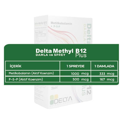 Delta Methyl B12 Plus: Fast-Absorbing Vitamin B12 Supplement Spray for Energy & Nerve Support - Active Methylcobalamin, 