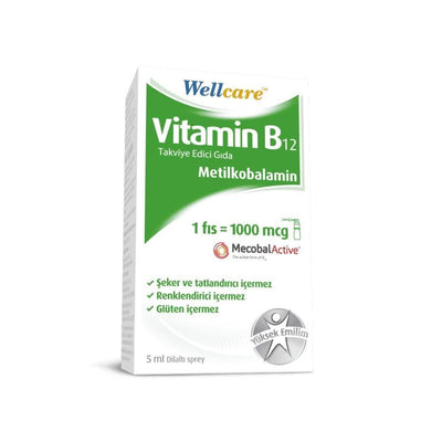 Wellcare Vitamin B12 1000 mcg Sublingual Spray Supplement - High Potency Methylcobalamin for Energy & Nerve Health