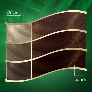 wella koleston naturals hair color packaging, wella koleston naturals chocolate brown application, wella koleston naturals ingredients, before and after using wella koleston naturals hair color Wella Koleston Naturals Hair Color - 6/7 Chocolate Brown for Women & Teenagers | 1.69 fl. oz. Wella Koleston Naturals 6/7 Chocolate Brown Hair Color wella, hair-color, chocolate-brown, koleston-naturals, hair-dye, coconut-oil, women, teenagers, ai-generated, coloring