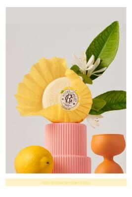 roger cedrat wellbeing soap bar, roger natural skincare soap with lemon oil Roger Cedrat Wellbeing Soap - Gentle Cleansing Bar | 3.5 oz Roger Cedrat Wellbeing Soap - Gentle Cleansing Bar roger, soap, wellbeing, skincare, natural-ingredients, gentle-cleansing, sensitive-skin, aromatic, plant-based, ai-generated