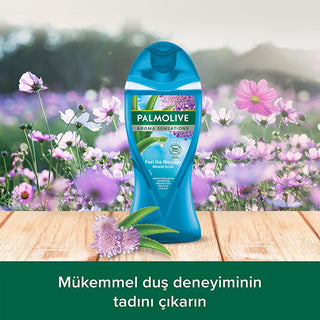 Palmolive Aroma Sensations Natural Shower Gel with Dead Sea Salt & Aloe Vera ...
