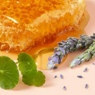 Nuxe Reve De Miel: Intensive Honey Hand Cream for Dry, Damaged Skin | Repairing & Moisturizing with Centella Asiatica Nuxe Reve De Miel Hand Cream - Repair Dry, Damaged Hands Hand Cream, Dry Hands, Damaged Skin, Nuxe Reve De Miel, Honey Hand Cream, Centella Asiatica Cream, Intensive Hand Care, Repairing Hand Cream, Soothing Hand Cream, Moisturizing Hand Cream, Dry Skin, Skin Repair, Provence Honey, Skin Barrier, Hand Care, Moisturizer, Cracked Hands, Irritated Skin, Sensitive Skin, Hand Treatment, Natural I