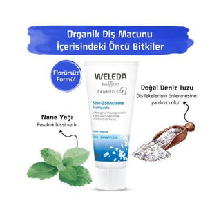 Weleda Natural Toothpaste with Sea Salt - 2.54 fl oz, Fluoride-Free, Organic Oral Care Weleda Natural Toothpaste - Fluoride-Free Oral Care natural toothpaste, fluoride-free toothpaste, organic oral care, sea salt toothpaste, natural ingredients for oral hygiene, health-conscious, environmentally aware, gentle oral care, Weleda, oral hygiene products, natural oral care products