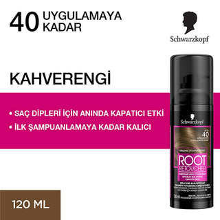 Root Retoucher Hair Color Touch-Up Spray - Instant Gray Root Coverage, 4.06 fl oz Instant Gray Root Coverage Spray - Root Retoucher root touch-up spray, gray hair cover-up, temporary hair color, hair color spray, root retoucher, hair dye, root cover, gray root concealment, instant hair color, hair touch-up, cosmetic, beauty, hair care, color correction, hair color maintenance