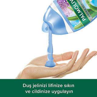 Palmolive Aroma Sensations Natural Shower Gel with Dead Sea Salt & Aloe Vera ...