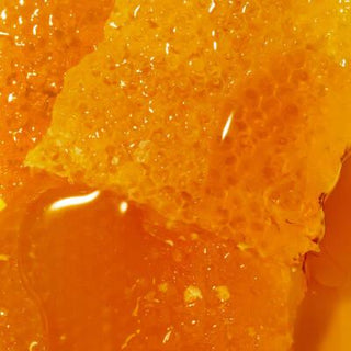 Nuxe Reve De Miel Ultra-Rich Cleansing Gel - 750ml Face & Body Wash for Dry, Sensitive Skin - Hydrating, Nourishing, Gentle, & Long-Lasting Nuxe Reve De Miel Cleansing Gel: Hydrate Dry Skin! Nuxe Reve De Miel, Ultra-Rich Cleansing Gel, Face and Body Wash, Dry Skin Cleanser, Nourishing Cleansing Gel, Gentle Body Wash, Hydrating Face Wash, cleansing gel, face wash, body wash, dry skin, sensitive skin, nourishing, hydrating, gentle, moisturizing, skincare, beauty, personal care, bath, shower, Reve De Miel, hon