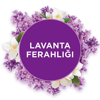glade bath air freshener device, lavender freshness aerosol refill, how to use glade air freshener, elegant design of glade air freshener Glade Bath Air Freshener Device & Lavender Freshness Refill 10 ml Glade Bath Air Freshener - Lavender 10 ml Refill glade, air-freshener, lavender, bathroom-deodorizer, home-fragrance, aromatherapy, refreshing-scent, odor-eliminator, ai-generated, freshening-spray