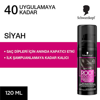 Root Retoucher Root Touch-up Spray - Instant Gray Hair Cover, Matte Finish, 4.06 fl oz