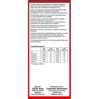 Floradix Liquid Iron and Vitamins Supplement - 250 ml