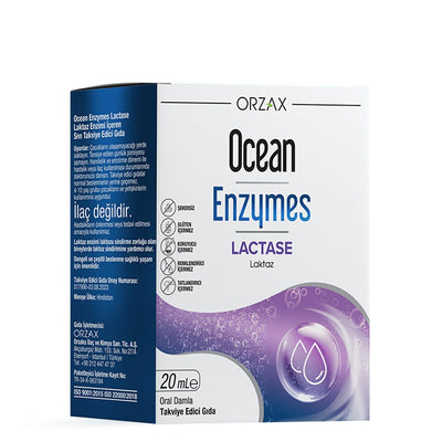Ocean Enzymes Lactase Damla 20 ml - Lactase Enzyme Supplement for Lactose Intolerance Relief, Gluten-Free & Sugar-Free D