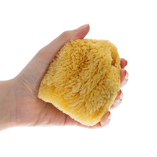 Babyjem Natural Sea Sponge for Gentle Baby Skin Care - Hypoallergenic & Organic Bathing Solution Natural Sea Sponge for Baby - Gentle & Hypoallergenic Natural baby bath sponge, Sea sponge for babies, Organic baby bath products, Gentle baby skin care, Hypoallergenic baby bathing, Natural baby care, Chemical-free baby products, Eco-friendly baby products, Mediterranean sea sponge, Sensitive skin baby products