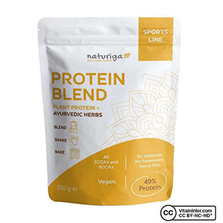 Naturiga Ayuvedic Protein Mix 250g