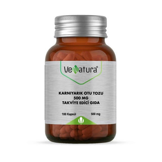 VeNatura Psyllium Husk Dietary Supplement - 500mg Capsules for Digestive Health Support VeNatura Psyllium Husk 500mg - Natural Digestive Health Supplement Psyllium husk dietary supplement, Digestive health support, VeNatura Karnıyarık Otu Tozu, Natural fiber supplement, Dietary fiber capsules, Digestive health, Fiber supplement, Turkey manufactured, India sourced, Health supplements, Wellness products