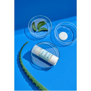 Etat Pur Aloe Vera Concentrate Serum - Natural Skincare for Dry, Sensitive Skin - Dermatologically Tested, Paraben-Free, 0.51 fl oz Etat Pur Aloe Vera Serum - Natural, Dermatologically Tested Skincare aloe vera serum, natural skincare, moisturizing serum, dermatologically tested, paraben-free skincare, alcohol-free skincare, vitamin E serum, antioxidant skincare, dry skin solution, sensitive skin care, hydration serum, skincare routine, Etat Pur products