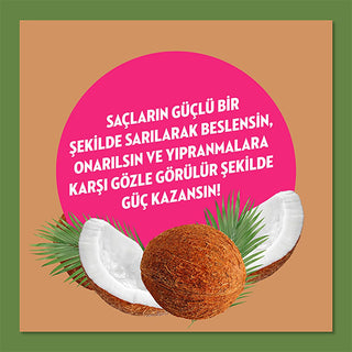 Elidor Coconut Oil Hair Conditioner: Natural, Paraben Free Repair Cream for Damaged Hair - Moisturizing, Cruelty-Free, Coconut Oil Treatment Elidor Coconut Oil Hair Conditioner: Natural Repair for Damaged Hair coconut oil hair conditioner, natural hair conditioner, paraben free conditioner, repairing hair conditioner, cruelty free hair conditioner, damaged hair treatment, moisturizing hair conditioner, Elidor hair conditioner, hair repair cream, coconut oil hair treatment, hair conditioner, natural hair car