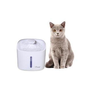 kiwi pets automatic water fountain, 3L capacity water fountain for cats and small dogs, elevated water fountain design, water fountain with washable filter Kiwi Pets Automatic Water Fountain - 3L Capacity | KPF-10545 Kiwi Pets Automatic Water Fountain - 3L Capacity kiwi-pets, automatic-water-fountain, cat-owners, small-dog-owners, pet-hydration, pet-accessories, fresh-water-fountain, 3l-water-reservoir, dog-water-fountain, ai-generated