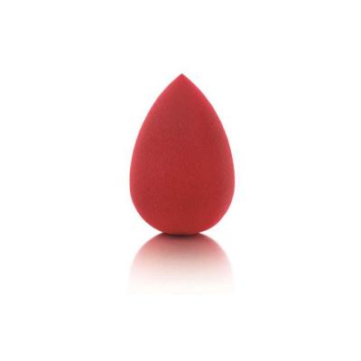 Pastel Profashion Makeup Sponge: Flawless Foundation & Cream Application - Expandable Beauty Sponge for Liquid, Powder &