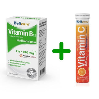 Wellcare Vitamin B12 TEG + C Selenium Coffre