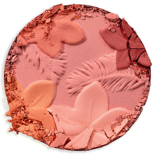 Physicians Formula Monoi Butter Blush Mauvy Mattes - Vegan Matte Finish Makeup Blush for Natural Look Physicians Formula Vegan Matte Blush - Natural Finish vegan blush, matte finish blush, Physicians Formula, Monoi Butter Blush, Mauvy Mattes, cruelty-free makeup, natural makeup, long-lasting blush, easy application makeup, soft and silky texture blush, everyday wear makeup, special occasion makeup, vegan makeup products, cruelty-free cosmetics